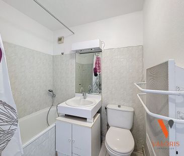 Location Appartement 1 pièce 25m² GRENOBLE 38100 - Photo 6