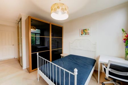 199 Pyrmont St, Sydney - Photo 4