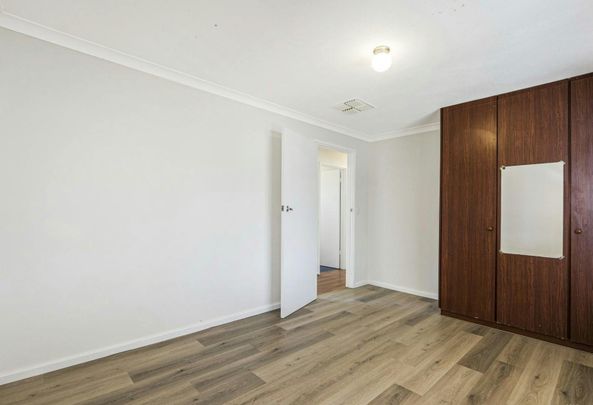 AVAILABLE NOW - Charming Country Living Surrounded by Trees - Photo 1