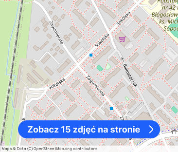 Os Białostoczek 2 pokoje plus kuchnia 50 m2 parter - Zdjęcie 1