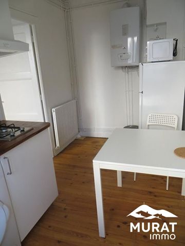 Location Appartement 1 pièce 17m² CLERMONT FERRAND 63000 - Photo 2
