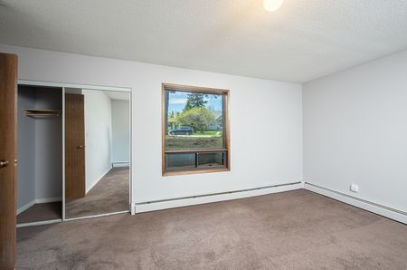 Carlton Court - Photo 4