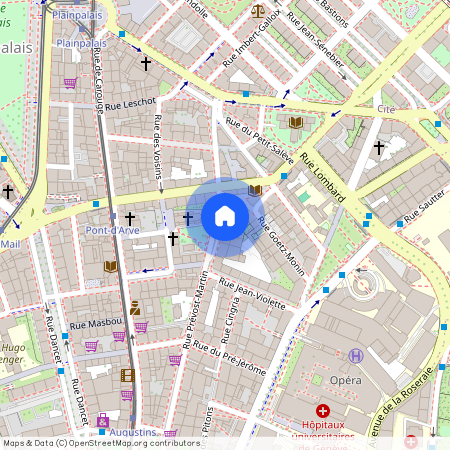 1205, Jonction-Plainpalais-Arve Rive