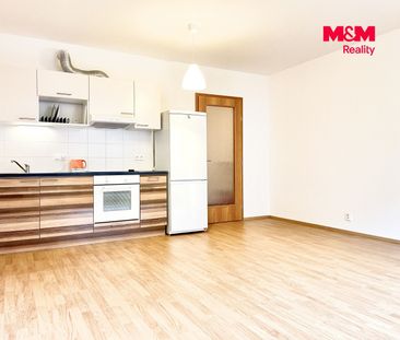 Pronájem, Byt 1+kk, 38 m², Praha, Hanusova - Photo 1