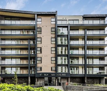 Canaway Court, Wimborne Road, BH15 - Photo 4