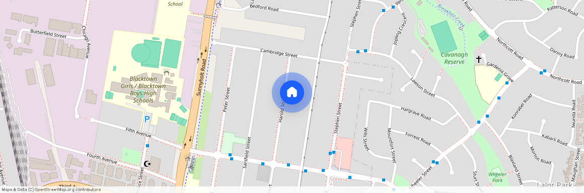 83 Harold Street, NSW 2148, Blacktown