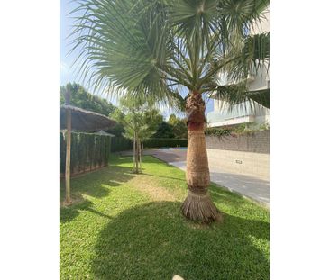 Apartment for rent in Javea - Photo 4