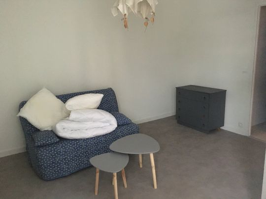 Location Appartement 1 pièce 25m² SALLANCHES 74700 - Photo 1