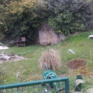 Attalens /Charmant 3.5 pièces - Foto 3