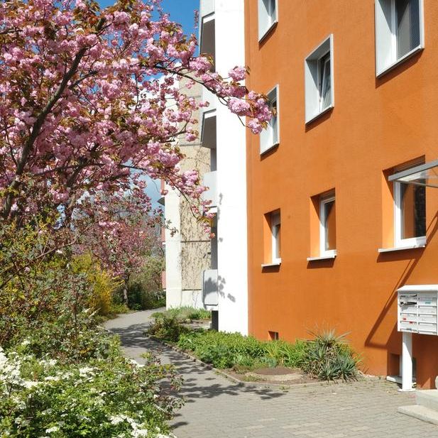 Ruhige Wohnlage lädt zum Wohlfühlen ein - Foto 1