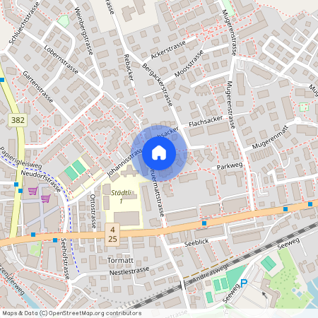 Scheuermattstrasse 10, 6330 Cham