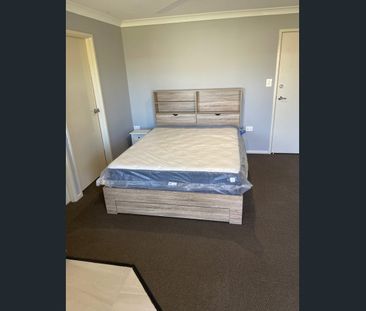 Renovated House– Wellington Point - Photo 6