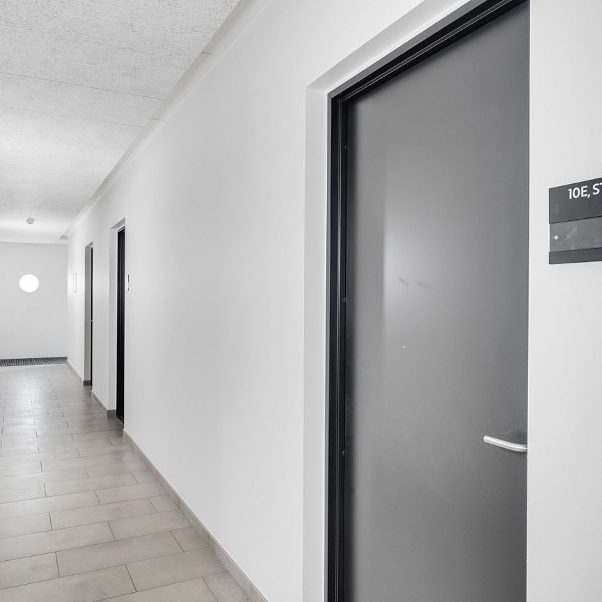 Boligen til den studerende eller singlen - Photo 1