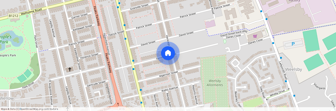 Torrington Street, DN32, Grimsby