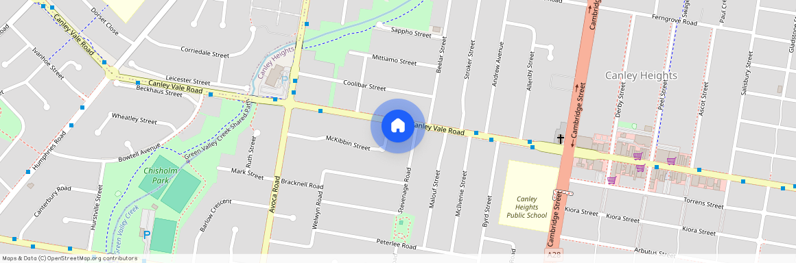 336 Canley Vale Road, Canley Heights, NSW 2166