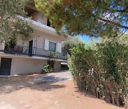 Μονοκατοικία για ενοικίαση - Καλαμάτα, - Photo 6