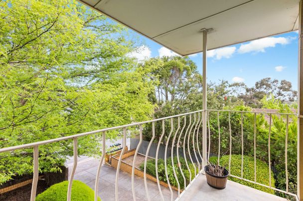 Modern unit in Torrens Park - Photo 1