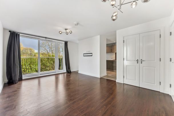 Haughview Terrace - Photo 1