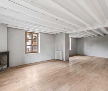 Superb triplex apartment with private garden in Collex-Bossy - Photo 4