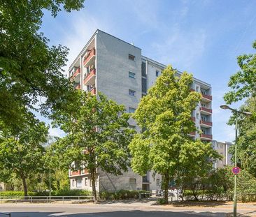 Gute geschnittene Singlewohnung - Foto 1