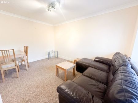 Belarmine Cresent, Stepaside, Dublin 18 - Photo 3