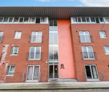 19 South Studios, Belfast, BT9 7BS - Photo 5