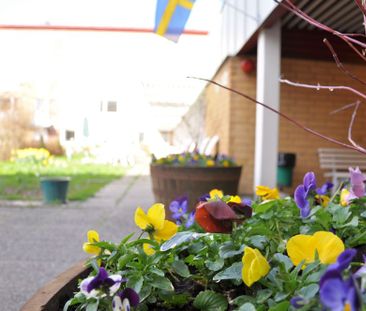 Tulegatan 12 - Photo 3