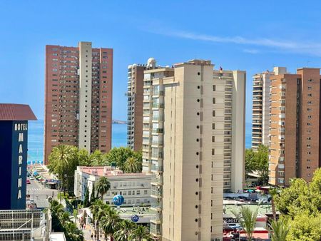 Flat for rent in Benidorm of 50 m2 - Photo 4