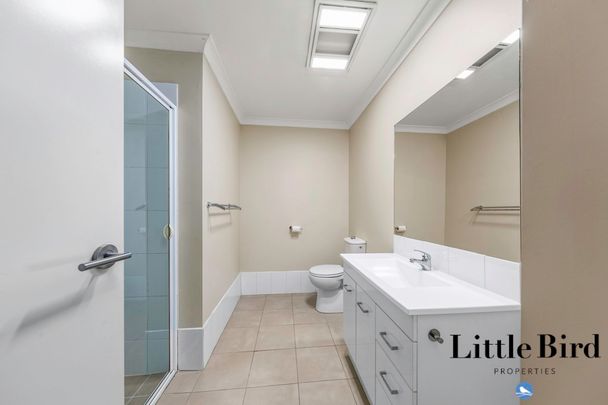 Light filled Ground Floor Apartment! - Photo 1