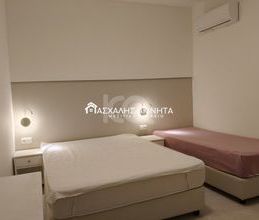 Studio/Γκαρσονιέρα για ενοικίαση - Γάζι, - Photo 2