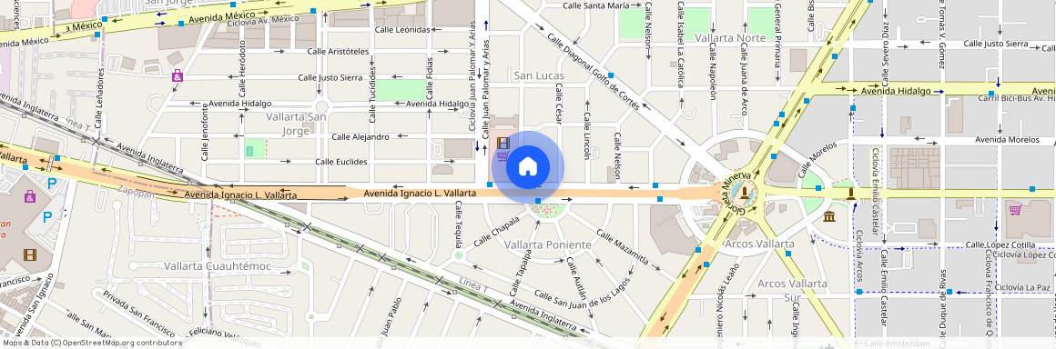Avenida Ignacio L. Vallarta, Vallarta Poniente, Guadalajara, Región Centro, Jalisco, 44110, México