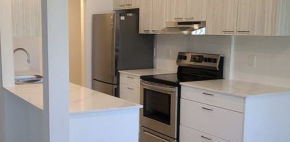 Conifer Place #2 - Photo 2