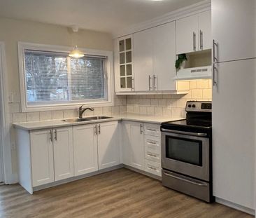 For Lease - 56 William Street, Orangeville, Ontario - Photo 4