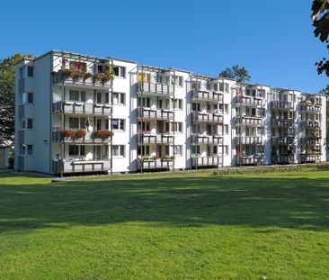 Wohnen auf dem Rabenberg: Lichtdurchflutet und naturnah - Photo 4