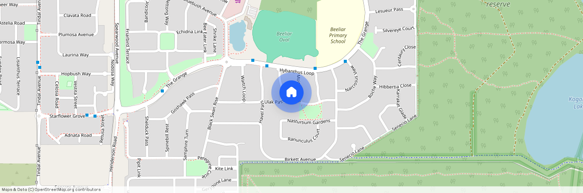 16 Hybanthus Loop, WA 6164, Beeliar