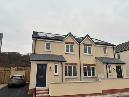 Maple Grove, Ivybridge, PL21 - Photo 4