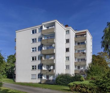 Demnächst frei! 3-Zimmer-Wohnung in Mayen - Foto 1