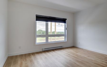 55, rue Michel-Robidoux #302, East-Angus - Photo 5