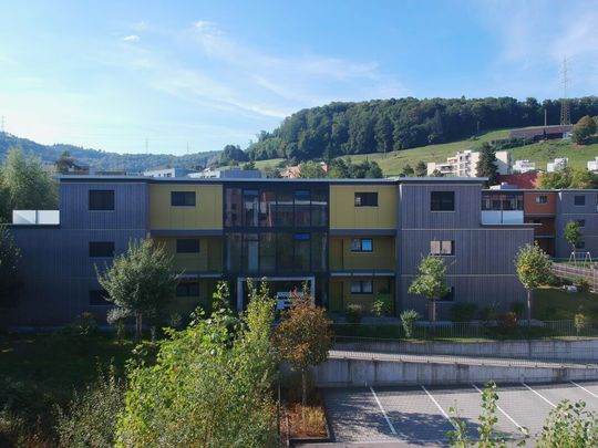 Modernes Wohnen in Lausen  2.5-Zimmer-Wohnung mit Terrasse - Photo 1