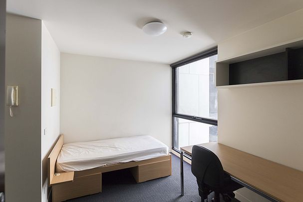 Furnished Stylish Studio Apartment - Photo 1