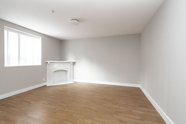 81 Isabella Street - Photo 1