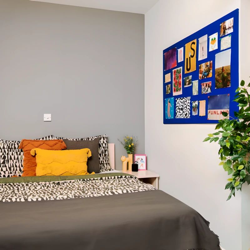 WHEELCHAIR ACCESSIBLE STUDIO - Photo 1