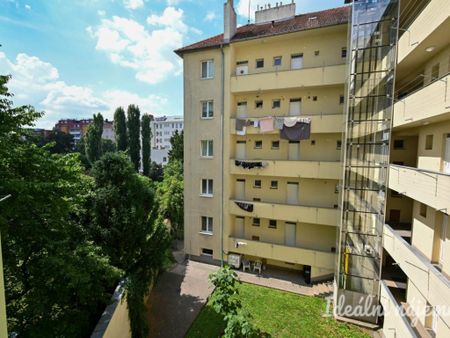 Pronájem bytu 2+kk 45 m2 - Fotografie 4