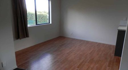 3 Bedroom Unfurnished Lake Hawea Home - Photo 2