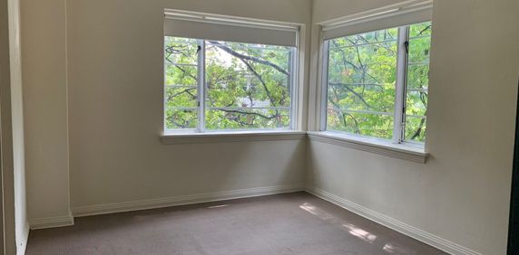 Studio apartment with leafy outlook - Photo 2