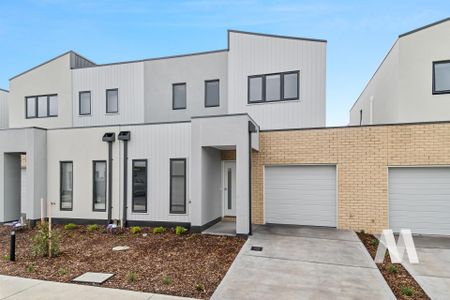 15 Noble Mews, Clyde North VIC 3978 - House For Rent | Domain - Photo 3