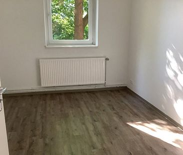 Frisch renovierte 3-Zimmer-Wohnung am Sonnenhügel - Foto 1