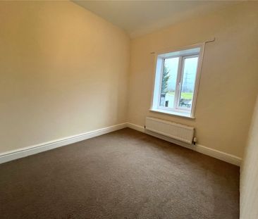 3 Broad Oak - Photo 3