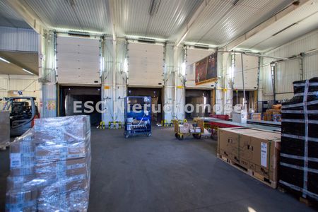 Piła, Zamość - Zdjęcie 5