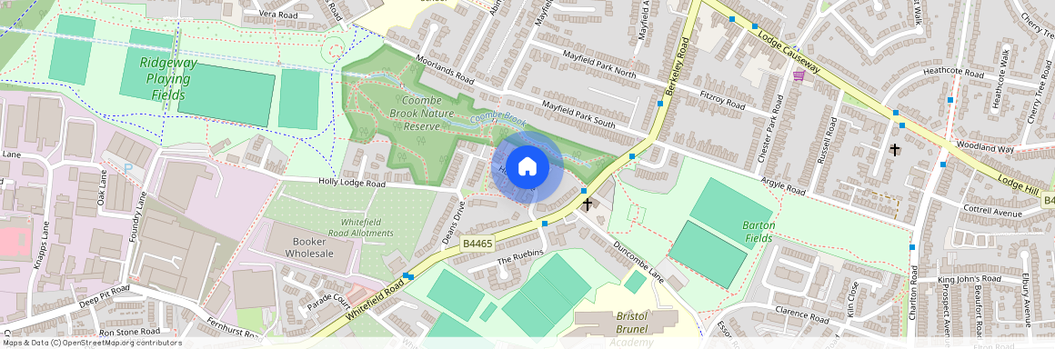 Holly Close, Speedwell